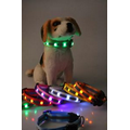 LED Dog Safety Collar